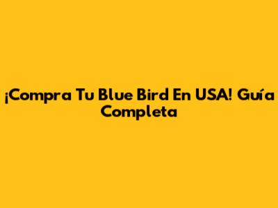 ¡Compra Tu Blue Bird En USA! Guía Completa