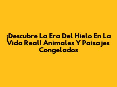 ¡Descubre La Era Del Hielo En La Vida Real! Animales Y Paisajes Congelados