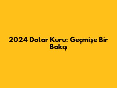 2024 Dolar Kuru: Geçmişe Bir Bakış