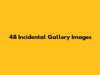 48 Incidental Gallery Images