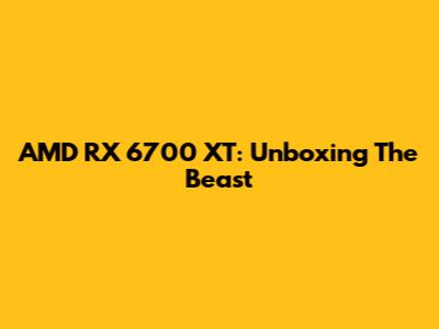 AMD RX 6700 XT: Unboxing The Beast