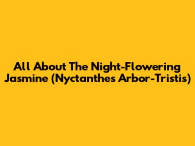 All About The Night-Flowering Jasmine (Nyctanthes Arbor-Tristis)