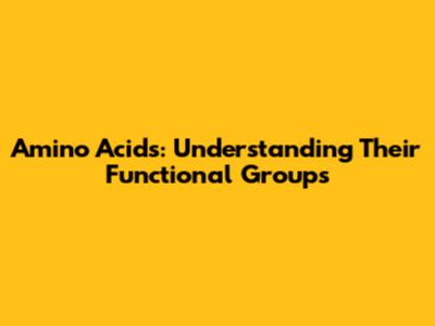 Amino Acids: Understanding Their Functional Groups