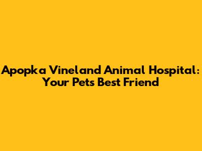 Apopka Vineland Animal Hospital: Your Pet's Best Friend