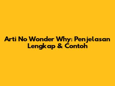 Arti 'No Wonder Why': Penjelasan Lengkap & Contoh