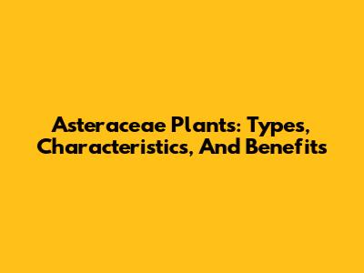 Asteraceae Plants: Types, Characteristics, And Benefits