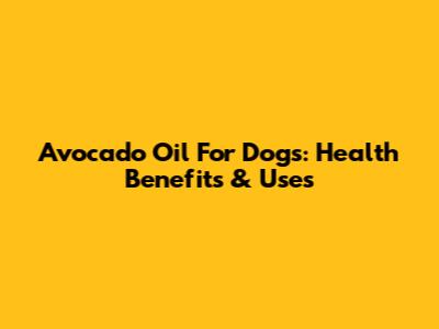 Avocado Oil For Dogs: Health Benefits & Uses