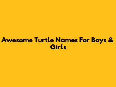 Awesome Turtle Names For Boys & Girls