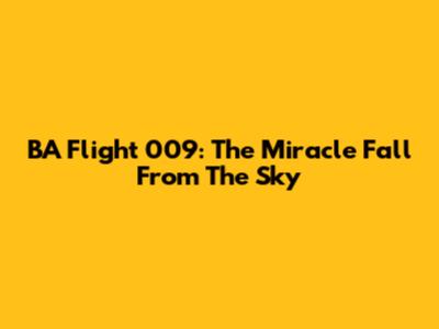 BA Flight 009: The Miracle Fall From The Sky