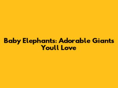 Baby Elephants: Adorable Giants You'll Love