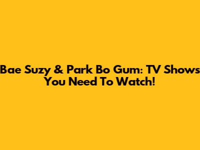 Bae Suzy & Park Bo Gum: TV Shows You Need To Watch!