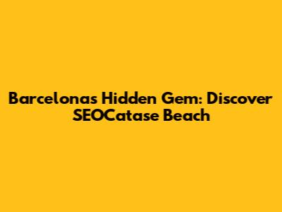 Barcelona's Hidden Gem: Discover SEOCatase Beach