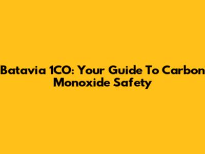 Batavia 1CO: Your Guide To Carbon Monoxide Safety