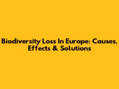 Biodiversity Loss In Europe: Causes, Effects & Solutions
