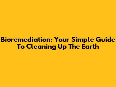 Bioremediation: Your Simple Guide To Cleaning Up The Earth