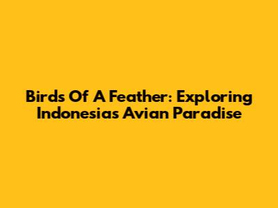 Birds Of A Feather: Exploring Indonesia's Avian Paradise