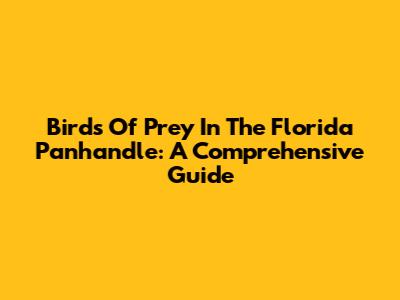 Birds Of Prey In The Florida Panhandle: A Comprehensive Guide
