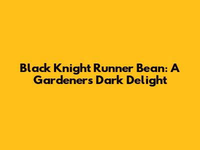 Black Knight Runner Bean: A Gardener's Dark Delight