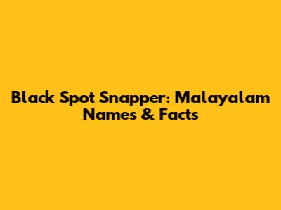 Black Spot Snapper: Malayalam Names & Facts