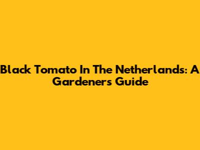 Black Tomato In The Netherlands: A Gardener's Guide