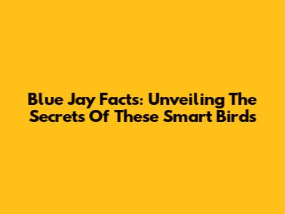 Blue Jay Facts: Unveiling The Secrets Of These Smart Birds