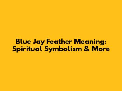 Blue Jay Feather Meaning: Spiritual Symbolism & More