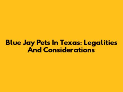 Blue Jay Pets In Texas: Legalities And Considerations