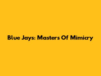 Blue Jays: Masters Of Mimicry