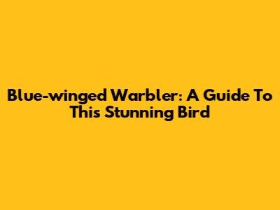 Blue-winged Warbler: A Guide To This Stunning Bird