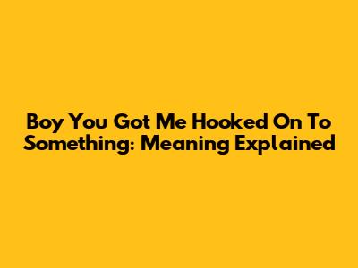 Boy You Got Me Hooked On To Something: Meaning Explained