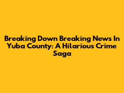Breaking Down 'Breaking News In Yuba County': A Hilarious Crime Saga