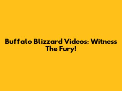 Buffalo Blizzard Videos: Witness The Fury!