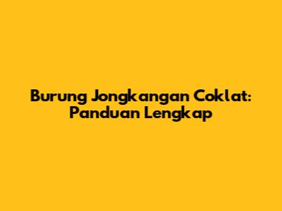 Burung Jongkangan Coklat: Panduan Lengkap