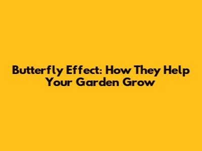 Butterfly Effect: How They Help Your Garden Grow