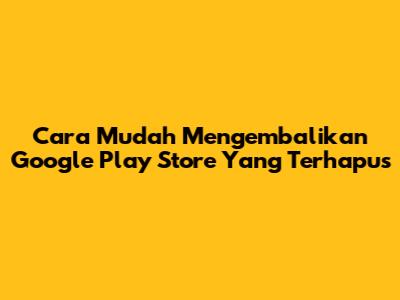 Cara Mudah Mengembalikan Google Play Store Yang Terhapus