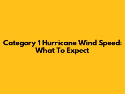 Category 1 Hurricane Wind Speed: What To Expect