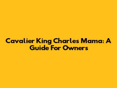 Cavalier King Charles Mama: A Guide For Owners