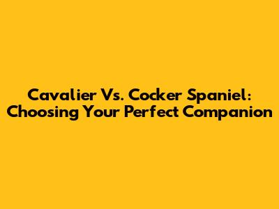 Cavalier Vs. Cocker Spaniel: Choosing Your Perfect Companion
