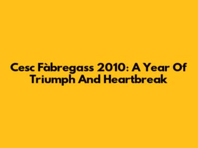 Cesc Fàbregas's 2010: A Year Of Triumph And Heartbreak