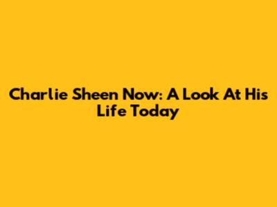 Charlie Sheen Now: A Look At His Life Today