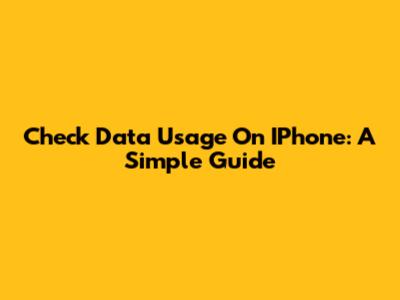 Check Data Usage On IPhone: A Simple Guide