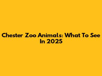 Chester Zoo Animals: What To See In 2025