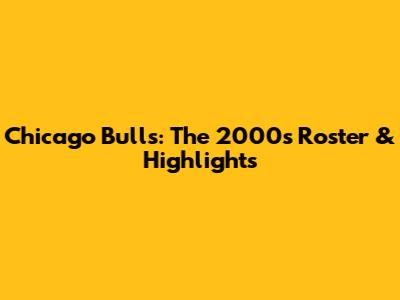 Chicago Bulls: The 2000s Roster & Highlights