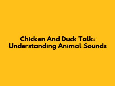 Chicken And Duck Talk: Understanding Animal Sounds