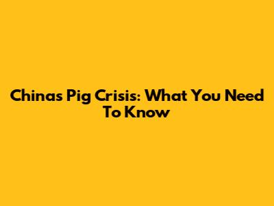 China's Pig Crisis: What You Need To Know