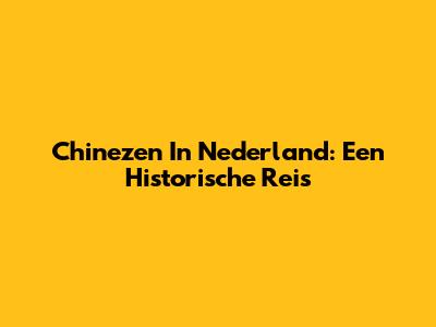 Chinezen In Nederland: Een Historische Reis