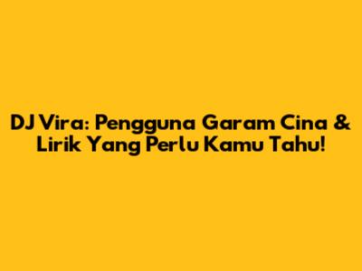 DJ Vira: Pengguna Garam Cina & Lirik Yang Perlu Kamu Tahu!