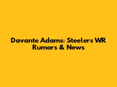Davante Adams: Steelers WR Rumors & News