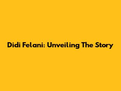 Didi Felani: Unveiling The Story