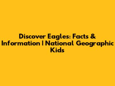Discover Eagles: Facts & Information | National Geographic Kids